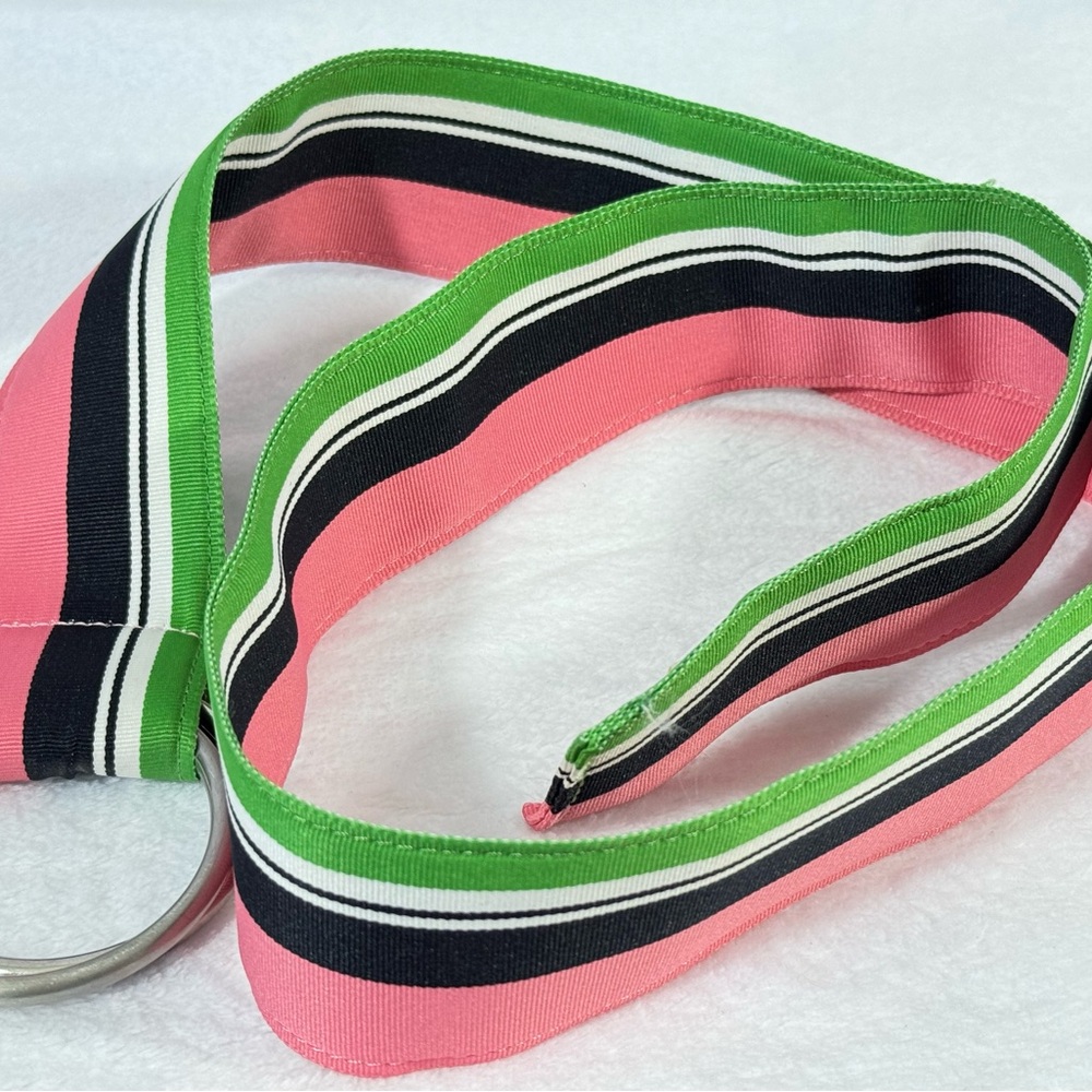 J. Crew Vibrant Preppy Pink Green Blue and White Striped Belt with Silver Rings - Picture 2 of 13